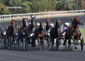 Prono Choc Turf