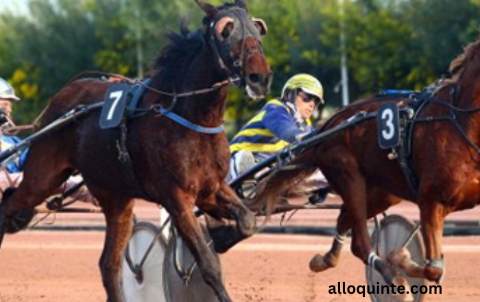 Resultat Des Courses Aujourd’Hui