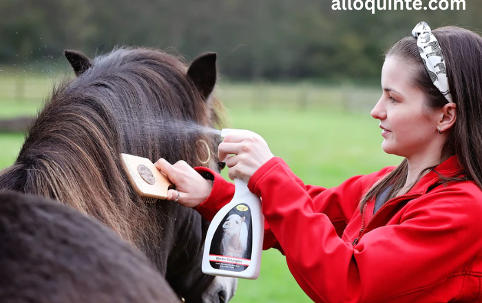 Essential Horse Care Tips for New Owners: From Feeding to Grooming