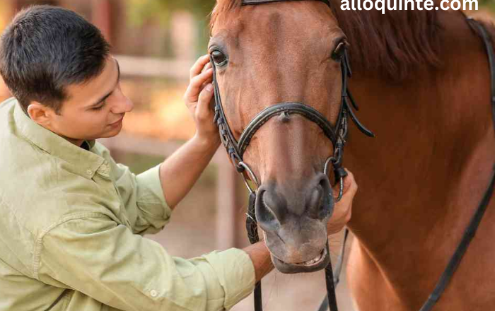 The Majestic Horse: Understanding Equine Behavior and Communication