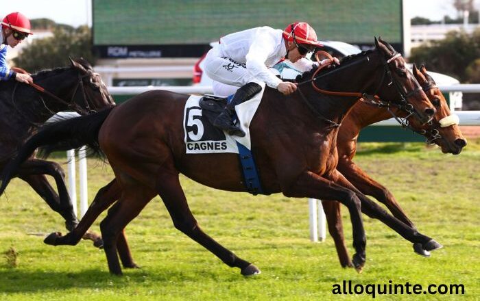 LA Voyeuse Coup Sur