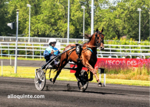 Trio Gagnant Du Jour