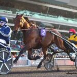 Cheval Coup Sur Du Jour