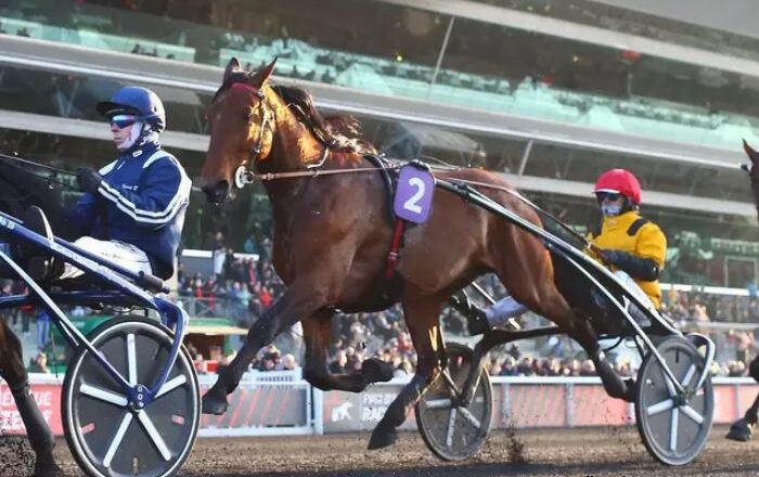 Cheval Coup Sur Du Jour