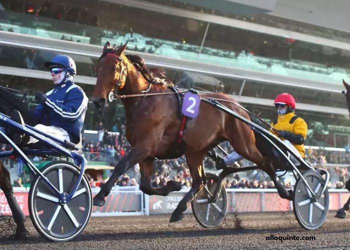 Cheval Coup Sur Du Jour