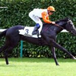 Don Du Ciel Turf