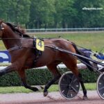 Geni Du Turf-Vip