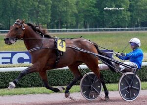 Geni Du Turf-Vip