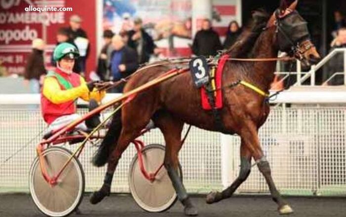 LA Cle Du Millionnaire