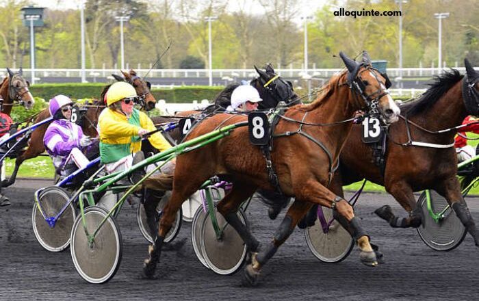 Pronostic en or Gratuite