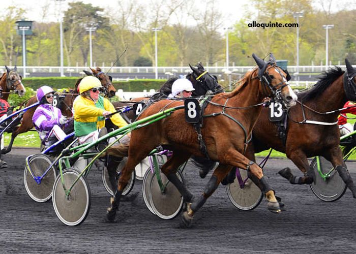 Pronostic en or Gratuit