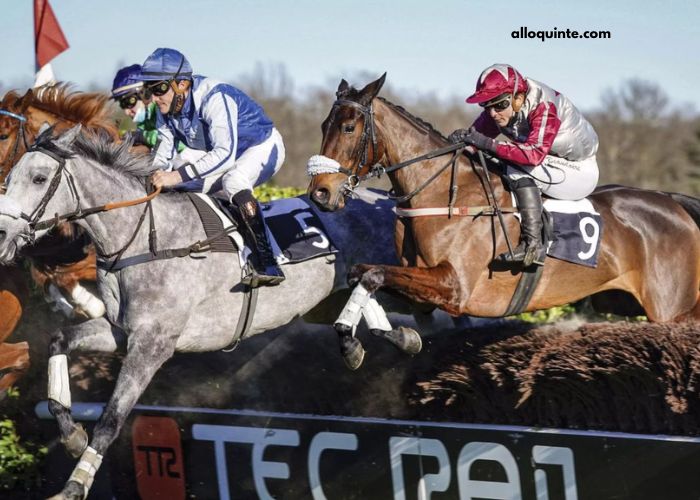 Super Gagnant Turf