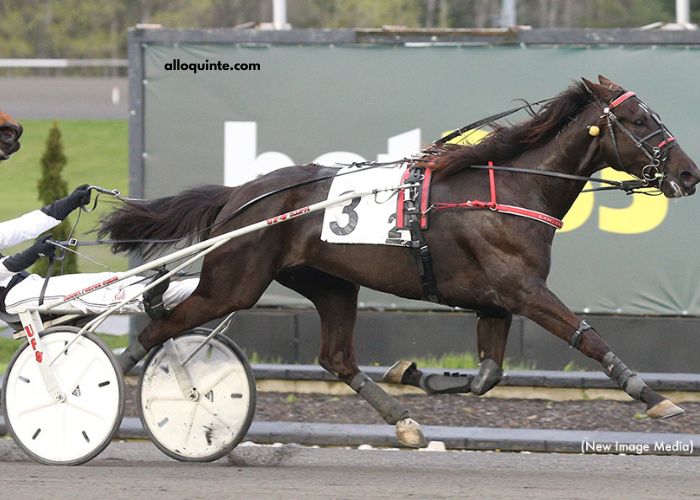 123 Milliardaire Turf