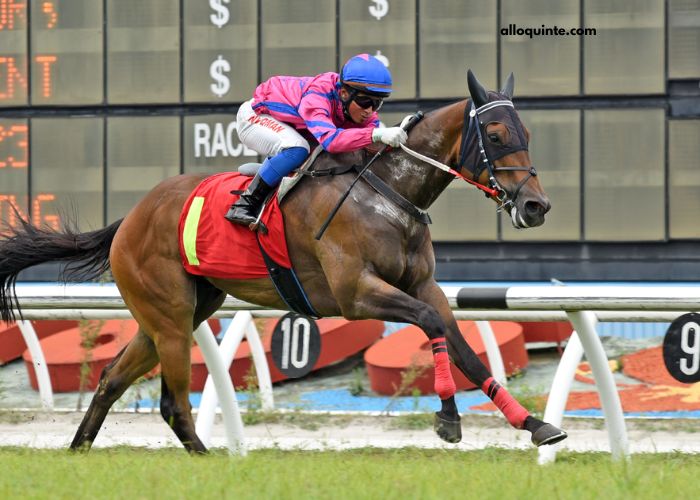8 Chevaux Turf Magique