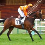 Good Hippique Turf