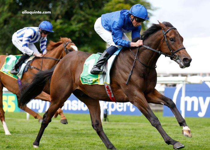 LA Richesse Turf