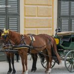 Le Spécialiste Du Tiercé