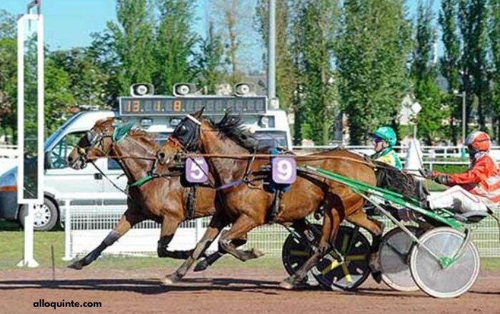 Prono Logique Turf
