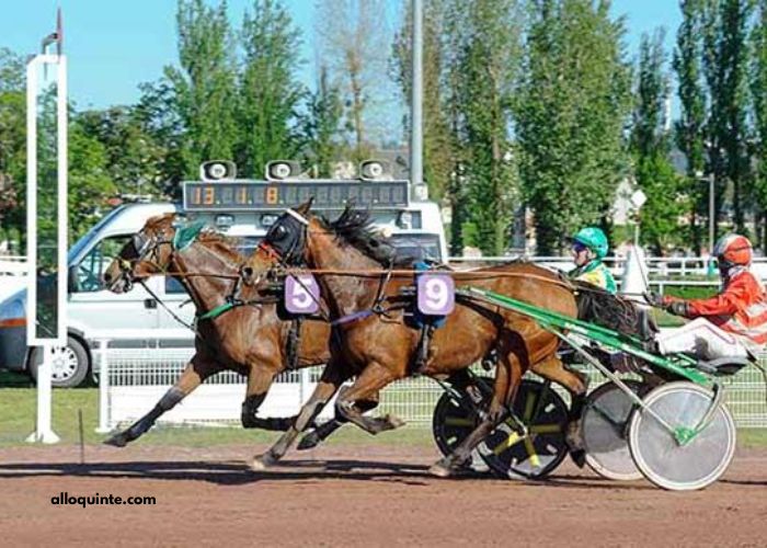 Prono Logique Turf