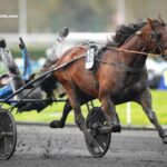 Site Pmu Gagnant