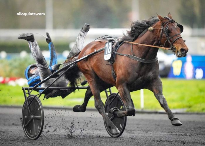 Site Pmu Gagnant