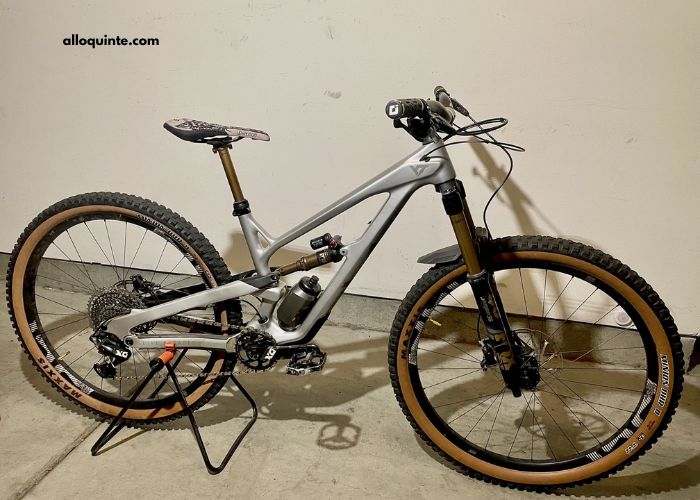 Xxl Pro 2021