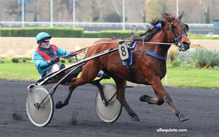 Zetop Trio Gagnant
